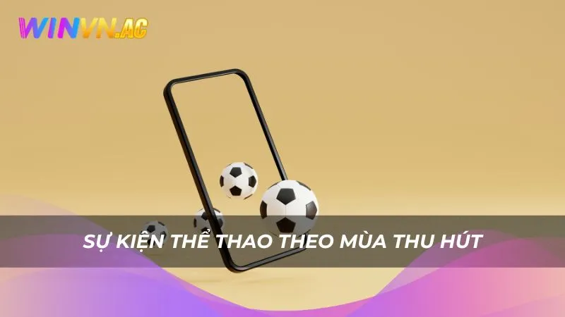 Sự kiện thể thao theo mùa thu hút