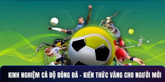 Bí quyết áp dụng mẹo chơi cá độ bóng đá Winvn dễ thắng hiệu quả